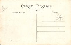 CPA Tours I et L la Loire le Pont le Musee d'Histoire Naturelle l'Ecole 