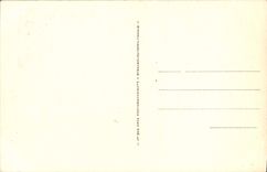 CPA Loches Entree du Chateau 