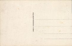 CPA Lourdes la Basilique et le Gave 