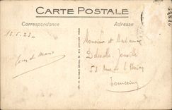 CPA Lourdes la BAsilique vue Plongeante 