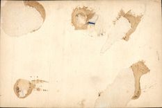 CPA Lourdes le Calvaire VII Station Jesus Tombe pour la deuxieme fois 