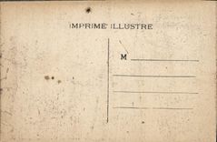 CPA Les Pyrenees Lourdes La Basilique et le Gave 