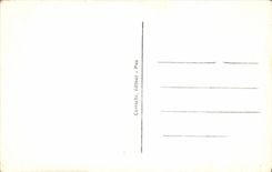 CPA Luz St Sauveur H P Le Pont Napoleon 