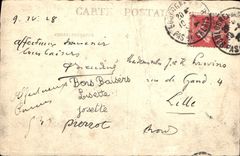 CARTE PHOTO Femme Chat chaton