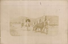 CARTE PHOTO Hommes Ane Mule