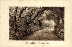 CPA l'Allee Couverte 