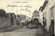REPRO Ile de Re Le Battage du bin 