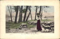 CPA Le Tropeau de Moutons 
