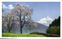 CPA Fruhling Printemps 