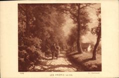 CPA Les Promis Nuit d'ete 