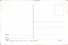 CPA Zuid Bevelandsche Kleederdracht 