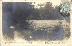 CPA Saint Cucufa Sous bois au bord de l'etang 
