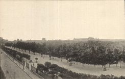 CPA Paris Jardins du Louvre