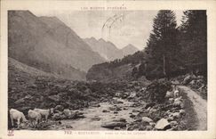 CPA Cauterets dans le val de Lutour 