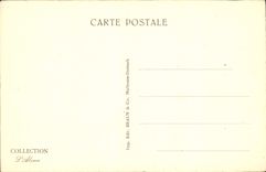 CPA Chambre de Paysans 