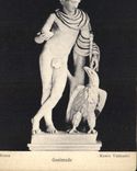 CPA Roma Ganimede Museo Vaticano 