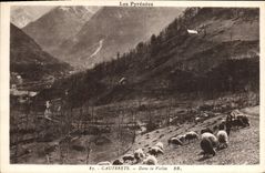 CPA Cauterets Dans la Vallee 