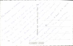 CPA Souvenir d'Algerie Chameau