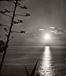 CPA La Cote d'Azur Coucher de soleil 