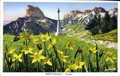 CPA Mont Aiguille Tulipes 