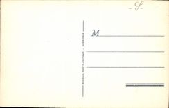 CPA Lac du Bourget Dent du Chat Narcisses 