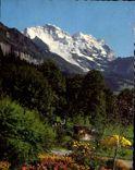 CPA Wengen Blick auf die Jungfrau 