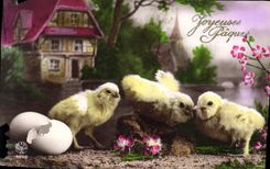 CPA Joyeuses Paques Poussins