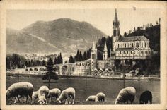 CPA Lourdes La Basilique 