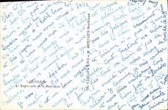 CPA Lourdes L'Esplanade et la Basilique 