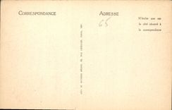 CPA Lourdes La Basilique et le Gave 