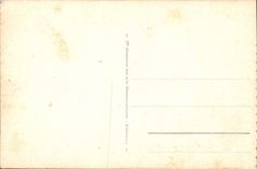 CPA Lourdes La Basilique et la Vierge Couronnee 