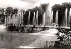 CPA Versailles et ses Merveilles Parc du chateau Les grandes eaux au bassin de Neptune 