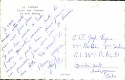 CPA Tarbes L'allee des Palmiers du Parc Massey