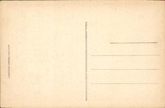 CPA Lourdes Vue Plongeante sus La Basilique 