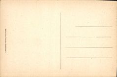 CPA Lourdes La Basilique et Entree du Calvaire 