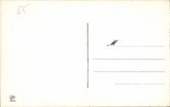 CPA Lourdes Le Vierge de la Grotte 