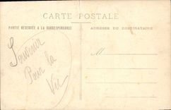 CARTE PHOTO Chien Berger allemand
