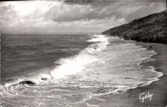 CPA Trouville Deauville Calvados Les Roches Noires a Maree haute 