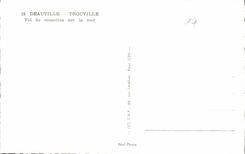 CPA Deauville Trouville Vol de mouettes sur la mer