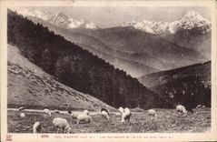 CPA Col d'Aspin les Paturages et le Pic du Midi 