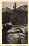 CPA Argeles Gazost Vieux Pont sur l'Arrieulat 