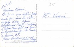 CPA Lourdes l'Esplanade et la Basilique 