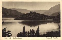 CPA Lac du Bourget Chateau de Chatillon 