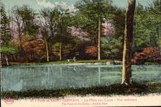 CPA Foret de Saint Germain la Mare aux Canes vue artistique 