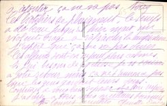 CPA Gavarnie L Chemin du Cirque Le Gave 