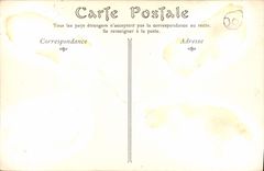 CPA Aigues Mortes La Porte de la Reine 
