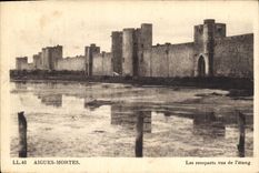 CPA Aigues Mortes Les remparts vue de l'etang 