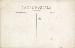 CARTE PHOTO Arbre