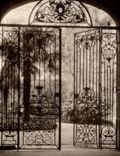 CARTE PHOTO Grillage