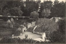 CPA Nimes Jardin de la Fontaine 